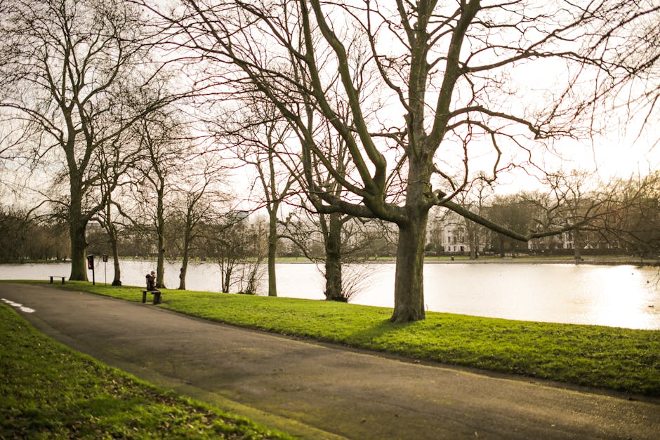 A serene lakeside scene captures a paved pathway alongside a grassy bank with several large, leafless trees. In the distance, a person is sitting on a bench near the water, which reflects the soft, ov