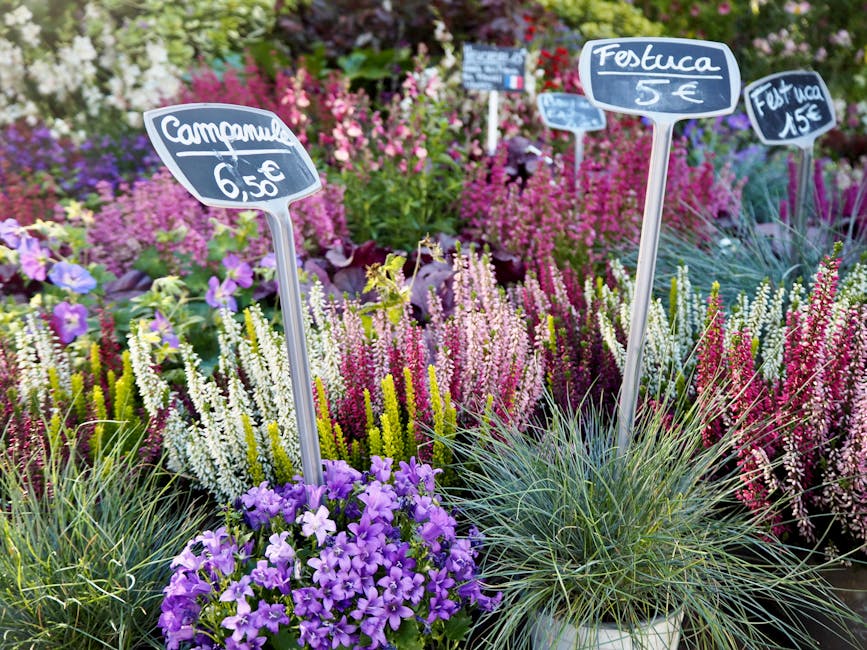 A vibrant display of blooming flowers arranged in a garden setting, featuring pink, purple, white, and green foliage. The arrangement includes small purple petunias at the front, surrounded by cluster
